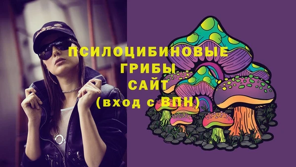 a pvp Магадан
