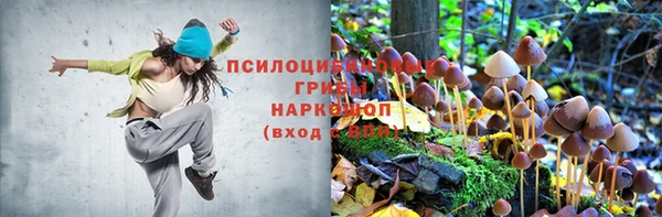 прущая мука Магас