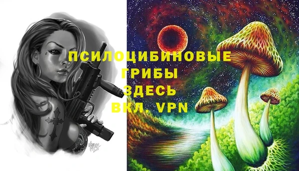a pvp Магадан