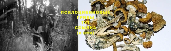 мяу мяу кристалл Майский